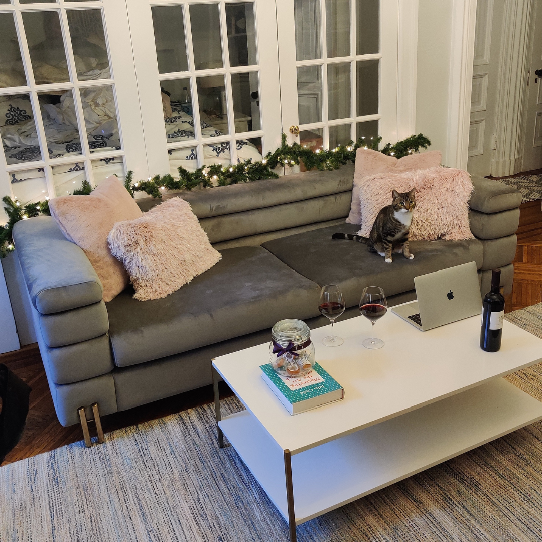 silver velvet couch with pink throw pillows and cat on it