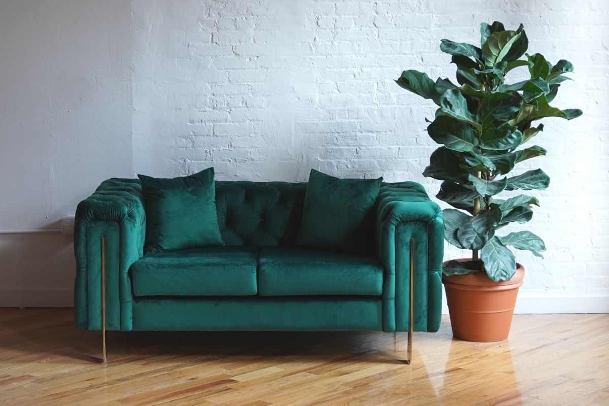 Song emerald green velvet loveseat with gold legs front view alongside plant, green velvet setee, tufted sweetheart couch, modern loveseat, chesterfield couch, mid-century modern couch product image